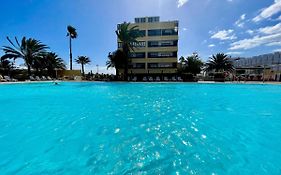 Golden Palm Tree Apartment
